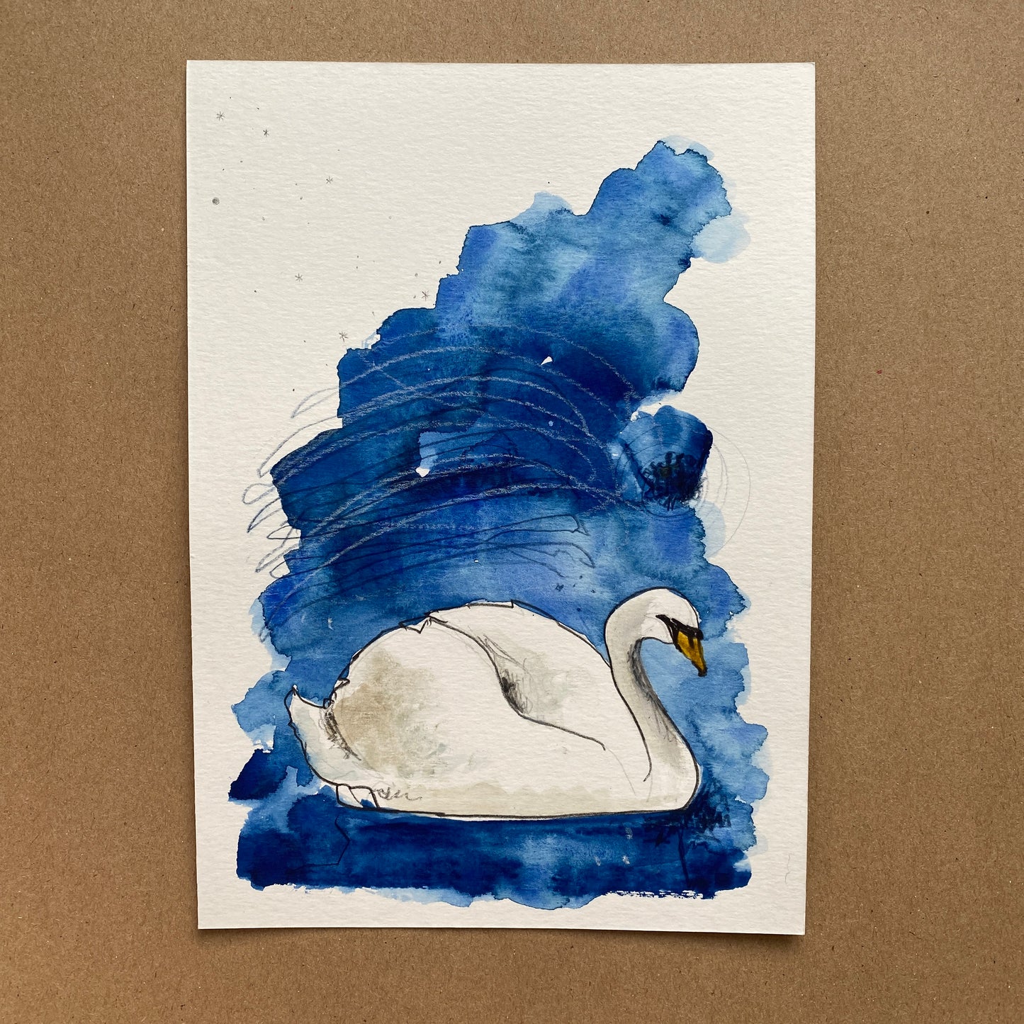 Swan Study 1