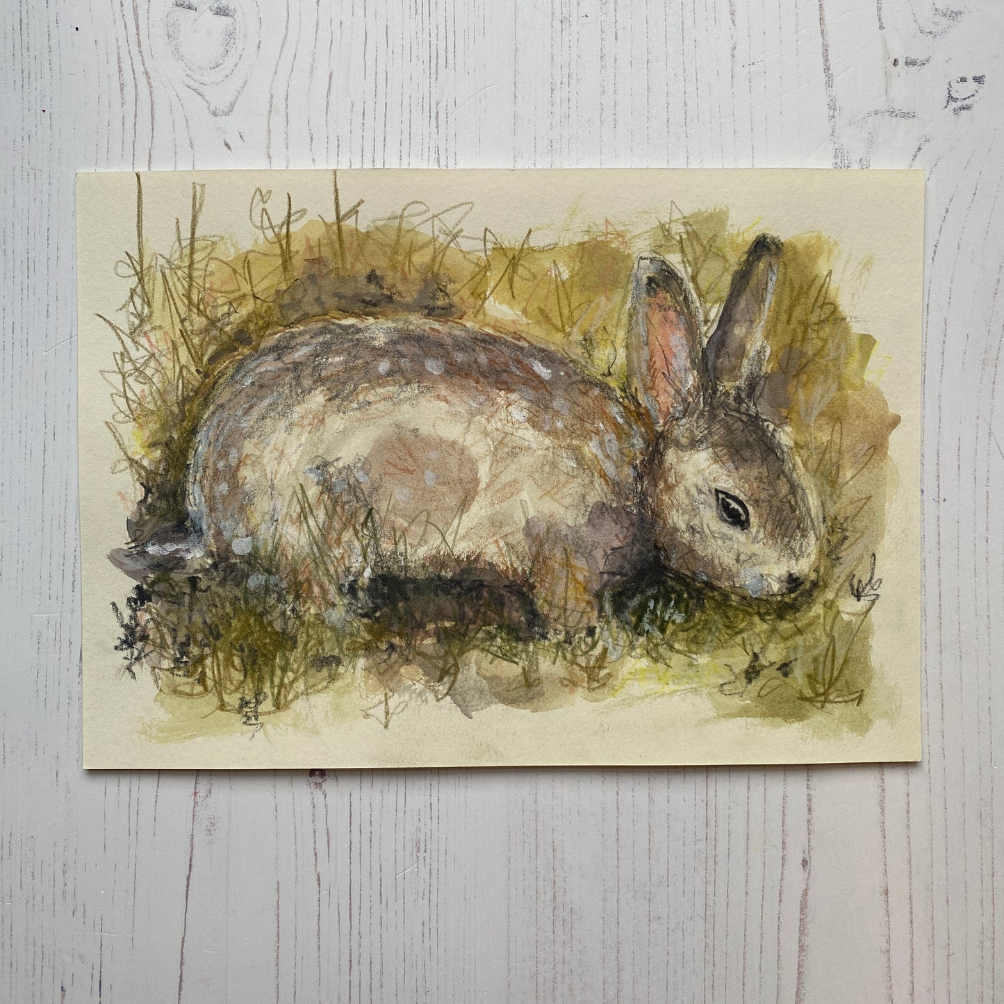 Rabbit in Hedgerow Sketch.