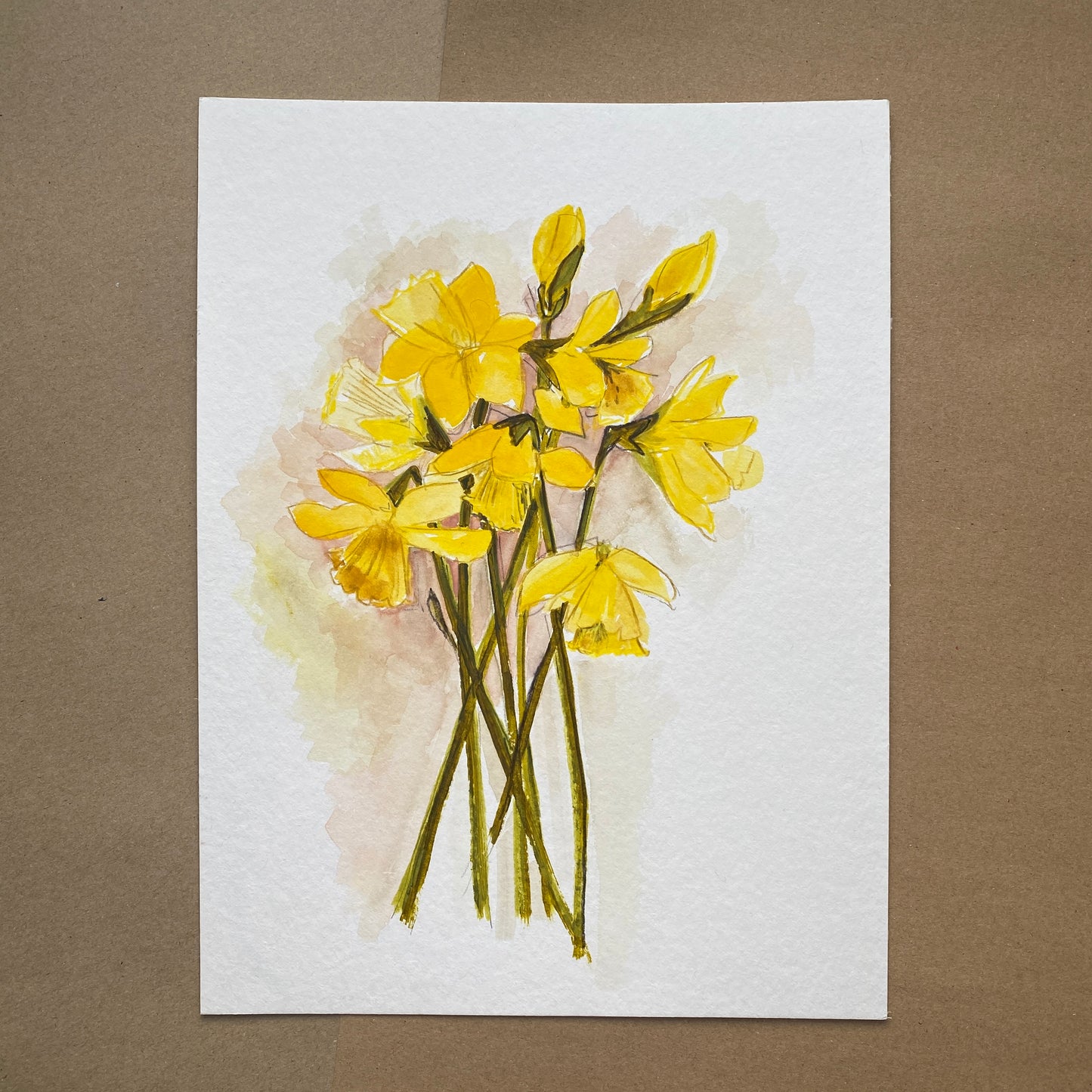 Daffodil Study 1.