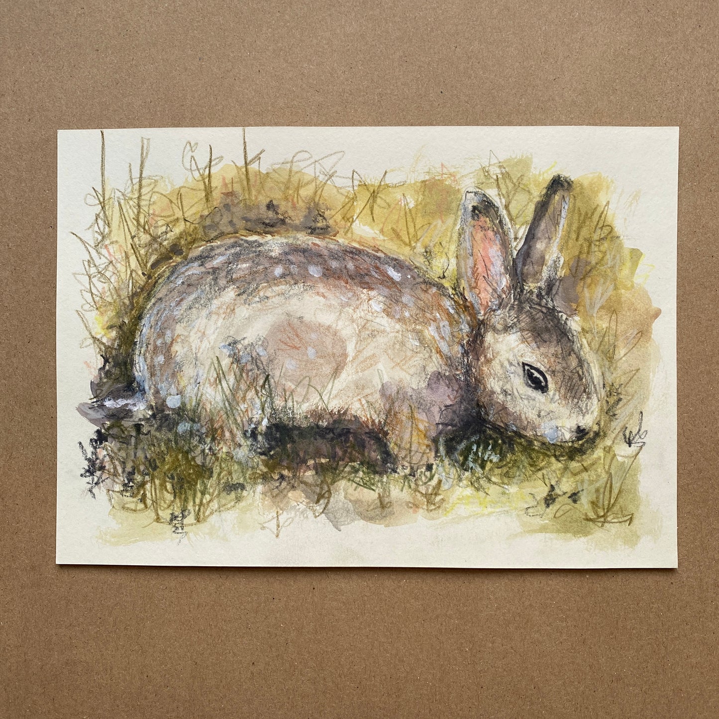 Rabbit in Hedgerow Sketch.