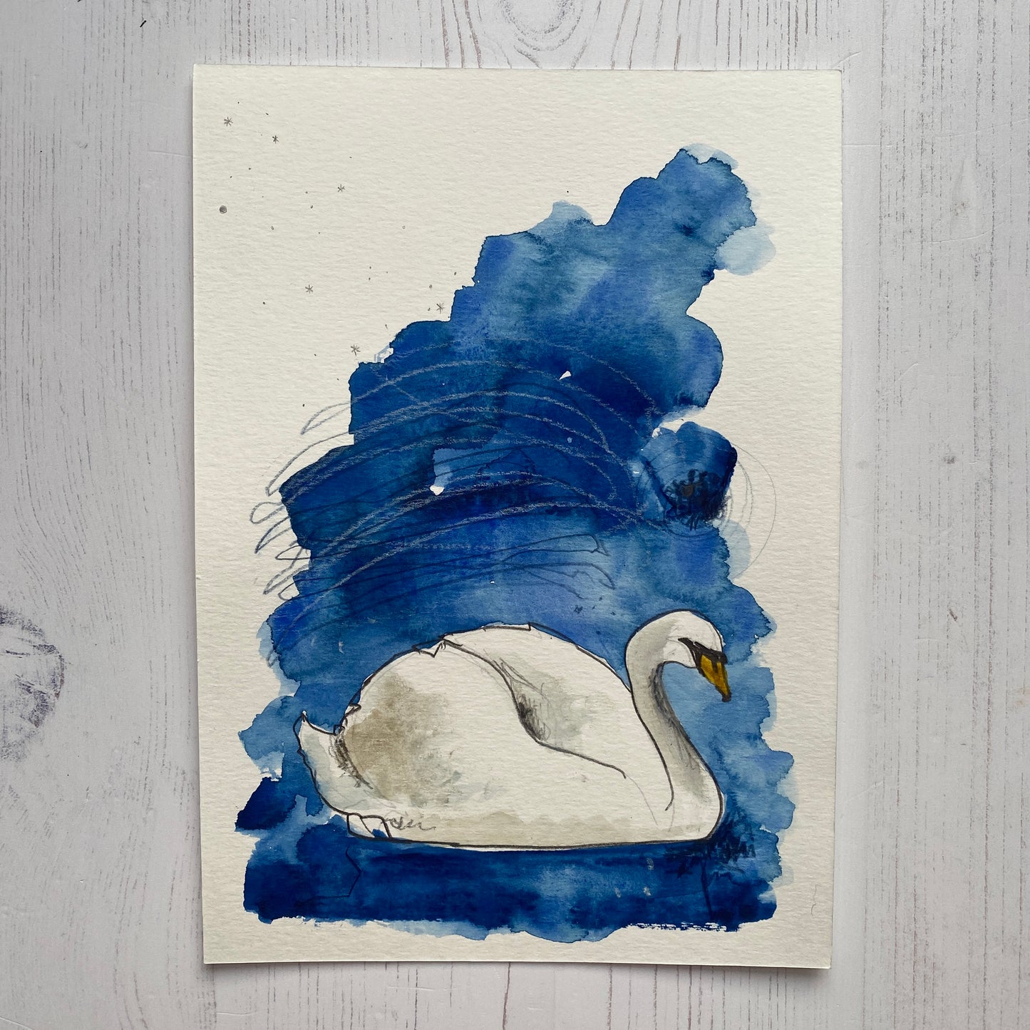 Swan Study 1